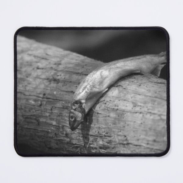 Item preview, Bird Food designed and sold by Cynthia48.