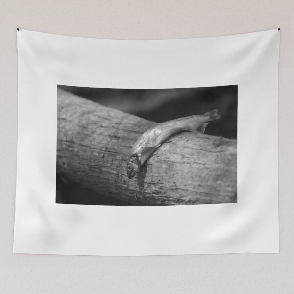 Item preview, Bird Food designed and sold by Cynthia48.