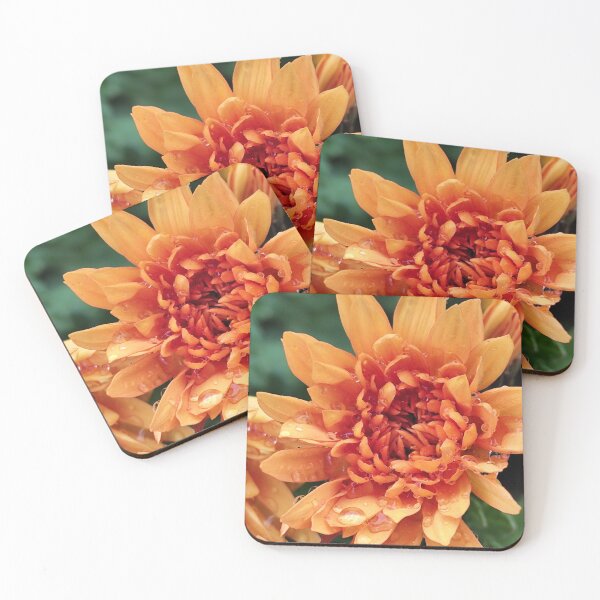 Item preview, Vibrant Orange Blooming Chrysanthemum designed and sold by vtspatial.