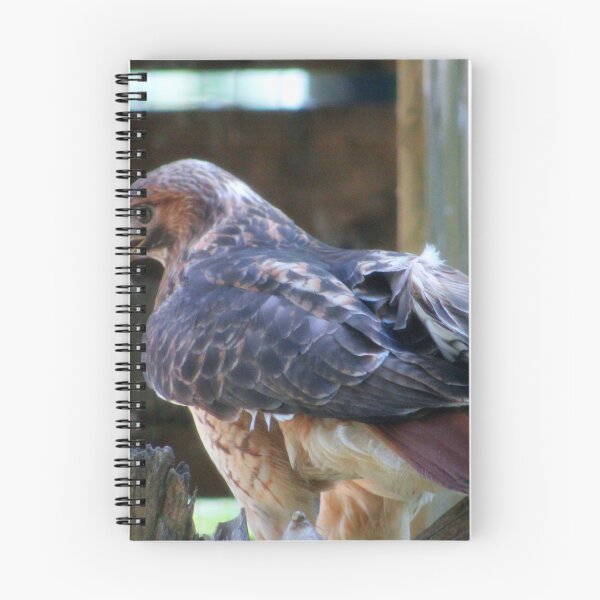 Item preview, Majestic Hawk with Prey designed and sold by Cynthia48.