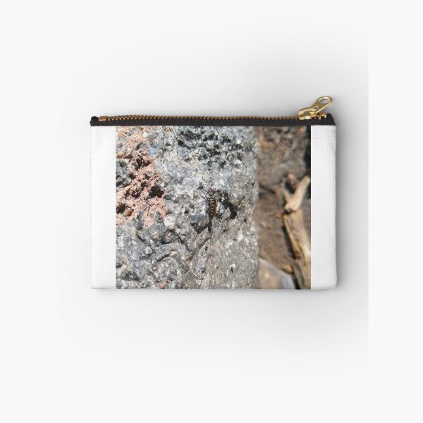 Item preview, Retrato de una mosca ladrona que me robó el corazón. designed and sold by EcoLogicPhotos.