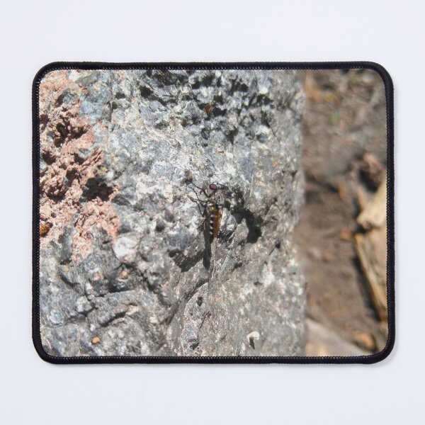Item preview, Portrait of a robber fly who stole my heart designed and sold by EcoLogicPhotos.
