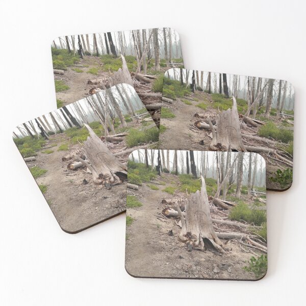 Item preview, Seen better days... designed and sold by EcoLogicPhotos.