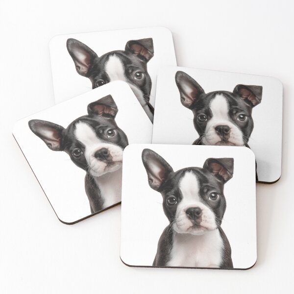 Item preview, Adorable Boston Terrier Pup for Cute Boston Terrier puppy lovers designed and sold by LazyOwlStore.