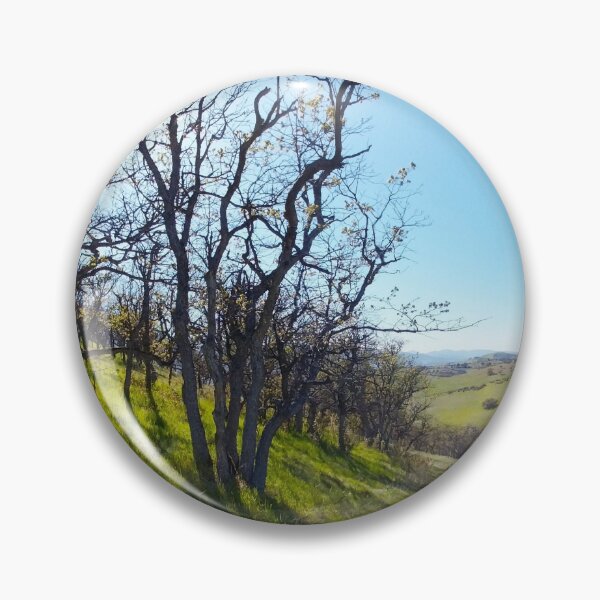 Item preview, Spring in the oak woodlands designed and sold by EcoLogicPhotos.