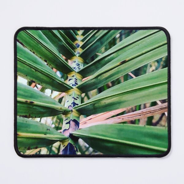 Item preview, Fronds designed and sold by Courtney Croxall.