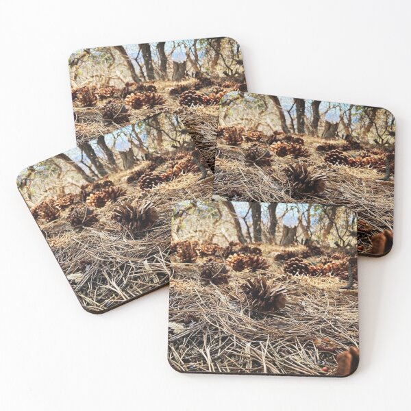 Item preview, Forest floor designed and sold by Courtney Croxall.