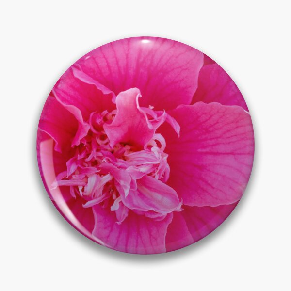 Item preview, Closeup of a Camelia Blossom designed and sold by LarsOlofPhoto.