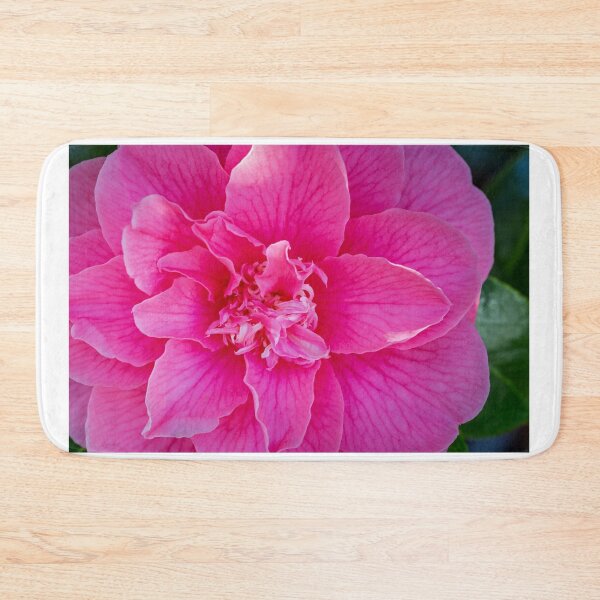 Item preview, Closeup of a Camelia Blossom designed and sold by LarsOlofPhoto.