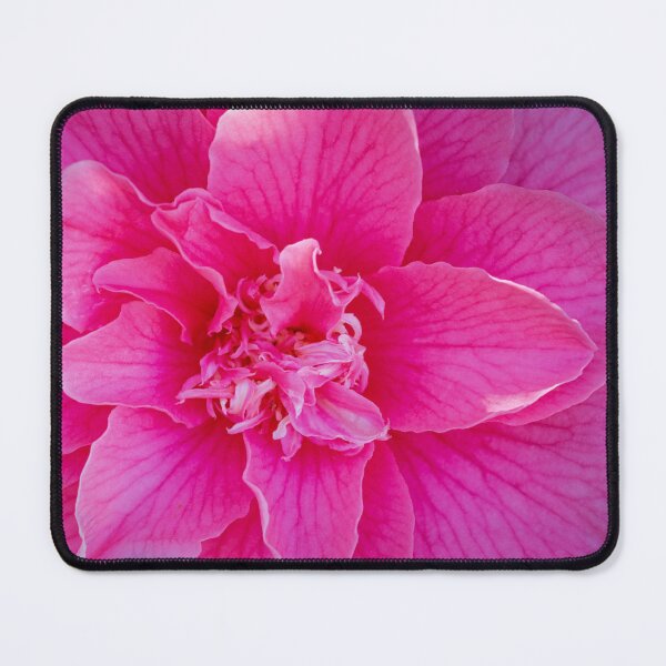 Item preview, Closeup of a Camelia Blossom designed and sold by LarsOlofPhoto.