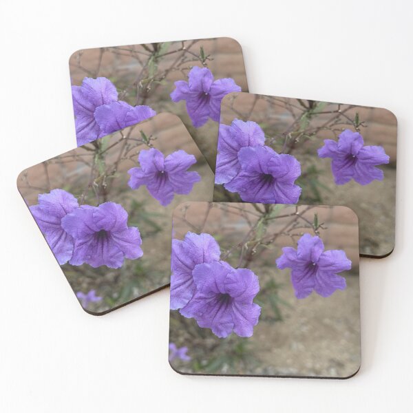 Item preview, Purple Mexican Petunia Ruellia Simplex Flowers in Outdoor Garden designed and sold by Salt Sea and Stone.