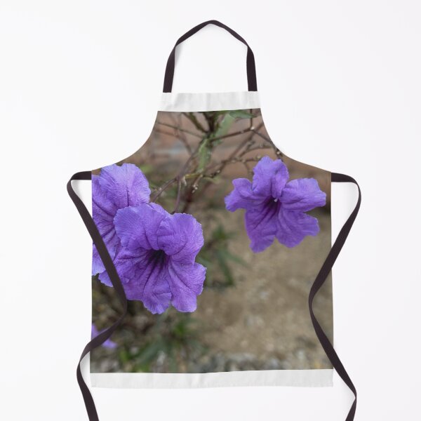 Item preview, Purple Mexican Petunia Ruellia Simplex Flowers in Outdoor Garden designed and sold by Salt Sea and Stone.