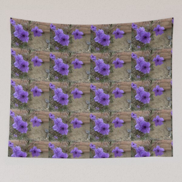 Item preview, Purple Mexican Petunia Ruellia Simplex Flowers in Outdoor Garden designed and sold by Salt Sea and Stone.