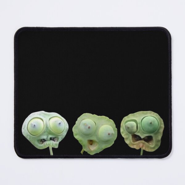 Item preview, Lotus Seed Pod (black) designed and sold by SillyFun.