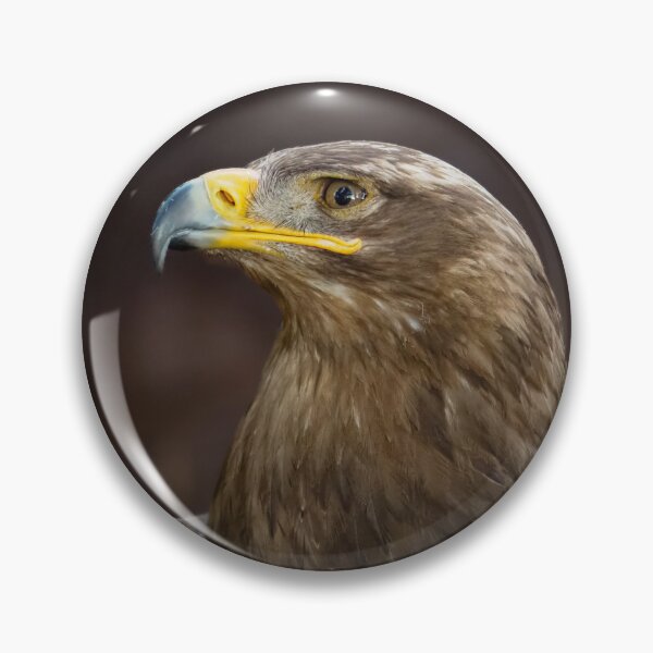 Item preview, Golden Eagle in Portrait designed and sold by MS.photo.