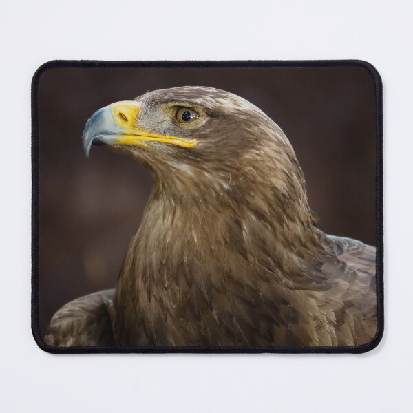 Item preview, Golden Eagle in Portrait designed and sold by MS.photo.