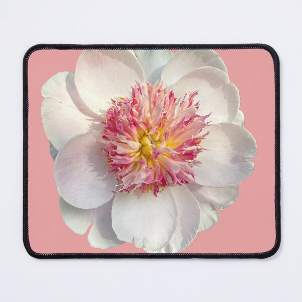 Item preview, Chinese Peony Flower designed and sold by Donna Turner.
