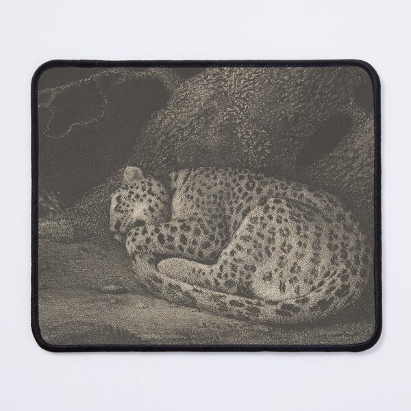 Item preview, Sleeping Leopard Antique Etched Print Art, 18th Century Britain designed and sold by cheeseburgercat.