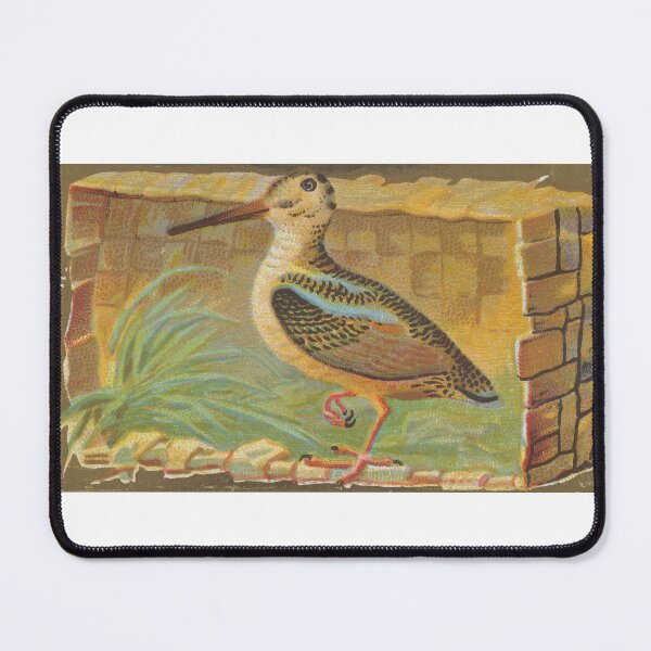 Item preview, American Woodcock Vintage Cigar Box Design designed and sold by cheeseburgercat.