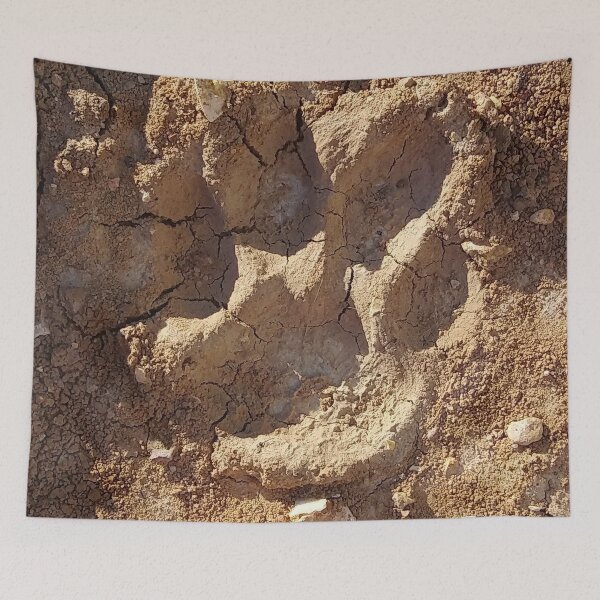 Item preview, Zorba's Paw Print In Dried Mud designed and sold by Rane Fisher.