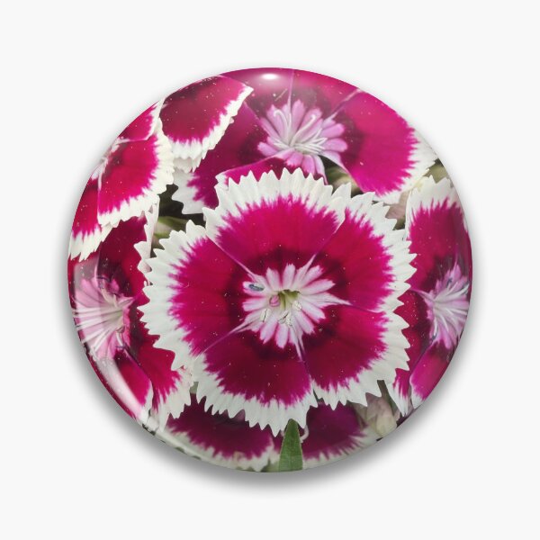 Item preview, Pink & White Dianthus Cluster designed and sold by KalmKreationz.