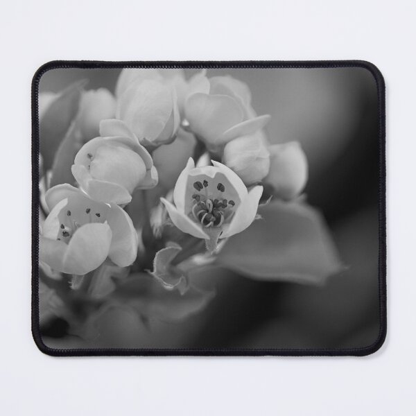 Item preview, Plum blossoms in monochrome  designed and sold by Cblifeisgood.