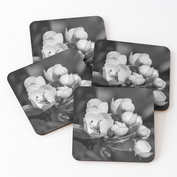 Item preview, Plum blossoms in bnw  designed and sold by Cblifeisgood.