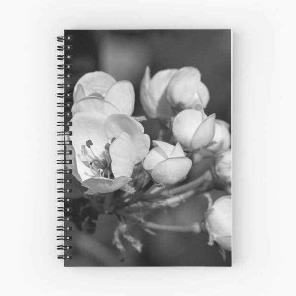 Item preview, Plum blossoms in bnw  designed and sold by Cblifeisgood.