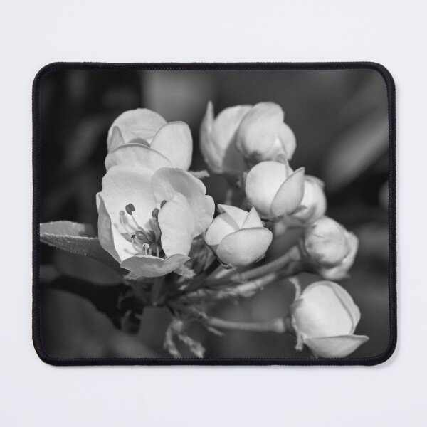 Item preview, Plum blossoms in bnw designed and sold by Cblifeisgood.