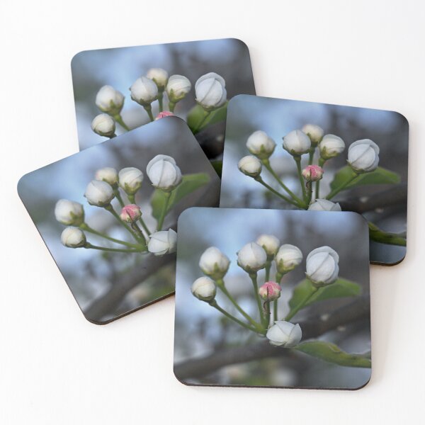 Item preview, Tiny plum buds  designed and sold by Cblifeisgood.