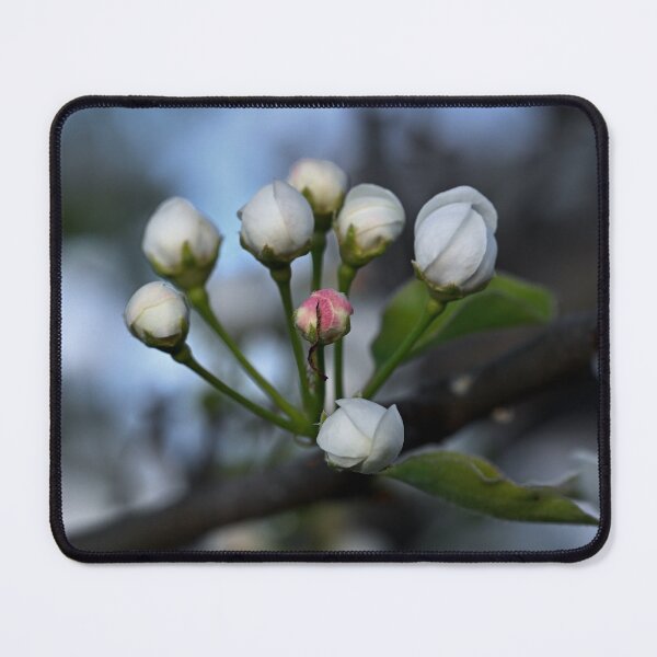 Item preview, Tiny plum buds  designed and sold by Cblifeisgood.