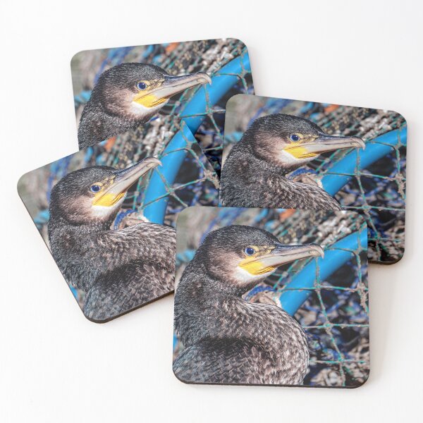 Item preview, Juvenile Cormorant designed and sold by Tom McPherson Photography.