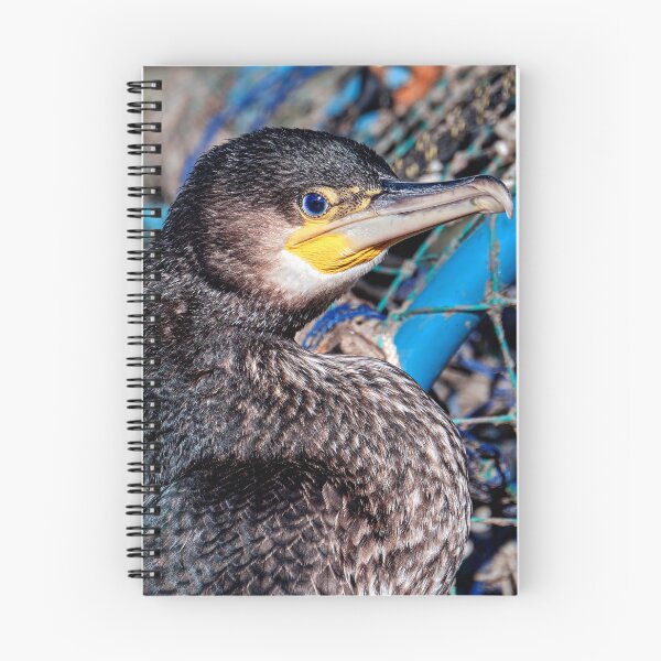 Item preview, Juvenile Cormorant designed and sold by Tom McPherson Photography.
