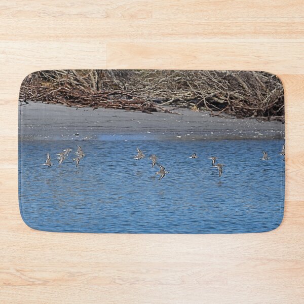 Item preview, A Flock of Terns flying across NC Inter-coastal waterway designed and sold by ncNatureVisions.