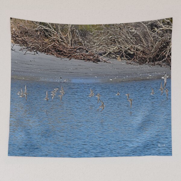 Item preview, A Flock of Terns flying across NC Inter-coastal waterway designed and sold by ncNatureVisions.