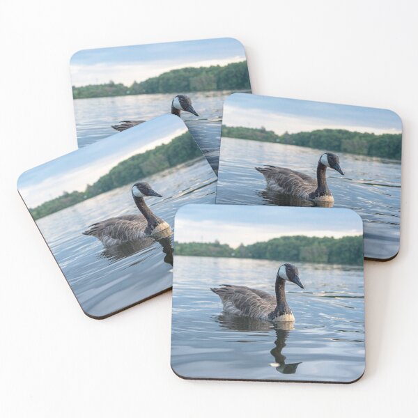 Item preview, CCanada Goose Swimming on Calm Lake New England Wildlife designed and sold by MDCCo.
