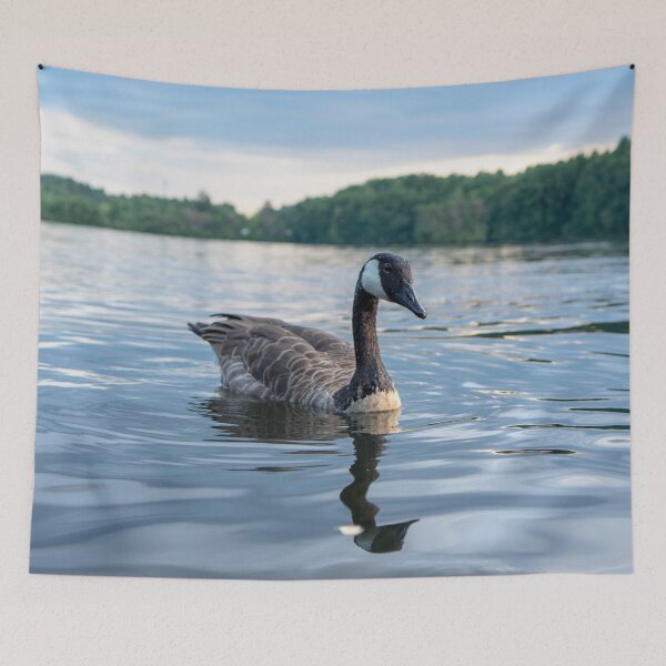 Item preview, CCanada Goose Swimming on Calm Lake New England Wildlife designed and sold by MDCCo.