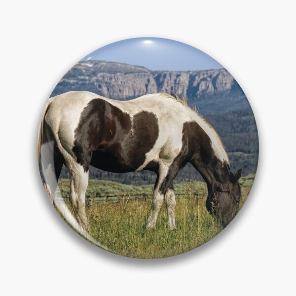 Item preview, Black and White Horse Grazing in Wyoming designed and sold by Kay Brewer.
