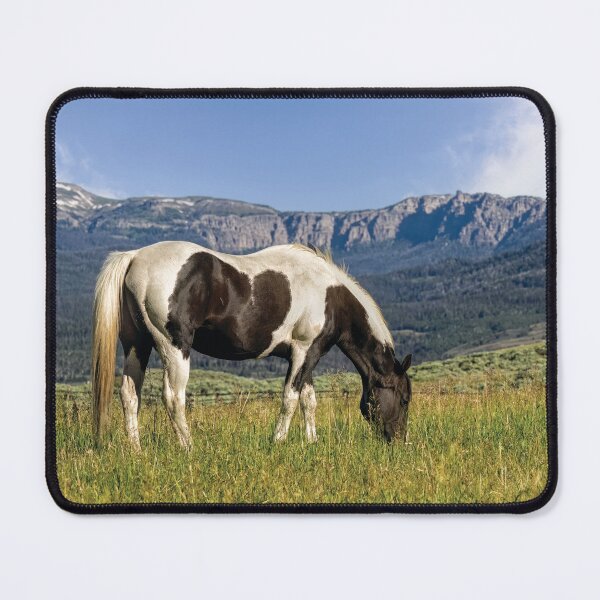 Item preview, Black and White Horse Grazing in Wyoming designed and sold by Kay Brewer.