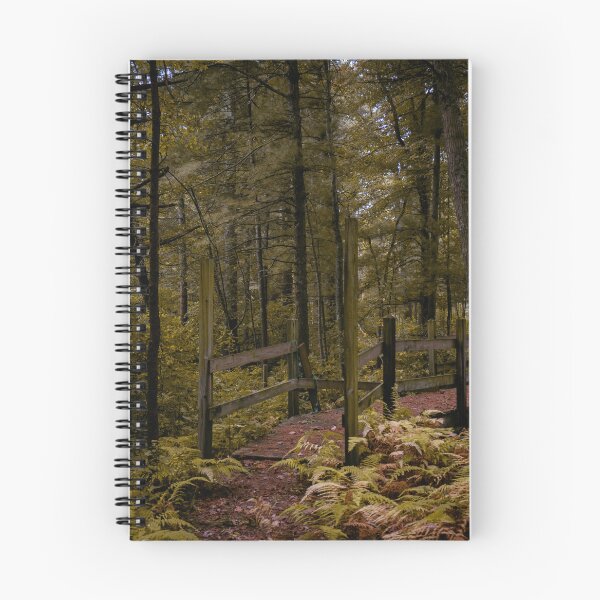Item preview, Autumn Forest Boardwalk Trail New England Fall Foliage designed and sold by MDCCo.