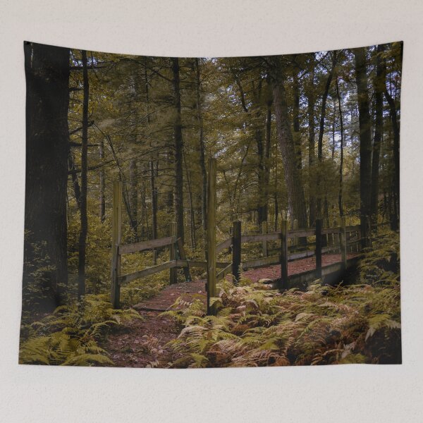 Item preview, Autumn Forest Boardwalk Trail New England Fall Foliage designed and sold by MDCCo.