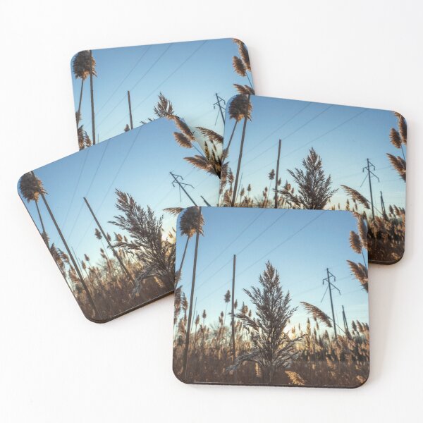 Item preview, Phragmites Reeds and Power Lines Autumn Sky Photography designed and sold by MDCCo.