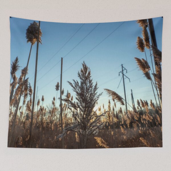 Item preview, Phragmites Reeds and Power Lines Autumn Sky Photography designed and sold by MDCCo.