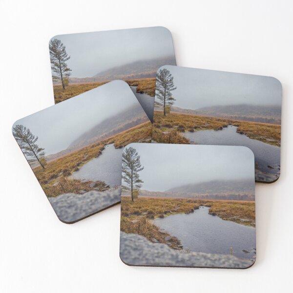 Item preview, Acadia National Park Misty Marsh Meadow Maine Landscape Photography designed and sold by MDCCo.