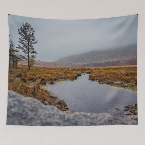 Item preview, Acadia National Park Misty Marsh Meadow Maine Landscape Photography designed and sold by MDCCo.