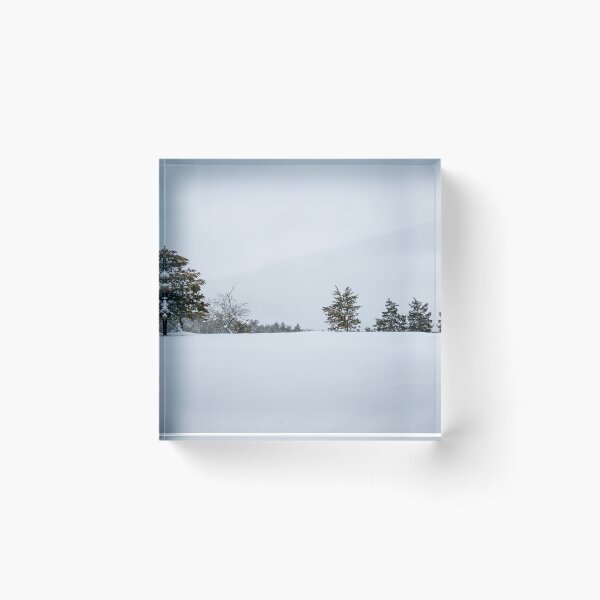 Item preview, Natick Audubon Winter Snow Treeline Massachusetts Minimalist Landscape designed and sold by MDCCo.