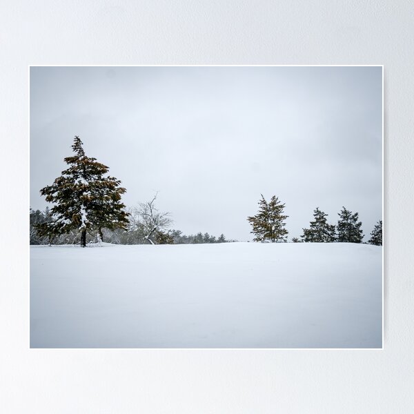 Item preview, Natick Audubon Winter Snow Treeline Massachusetts Minimalist Landscape designed and sold by MDCCo.