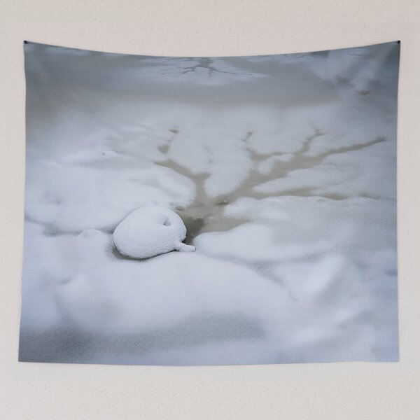Item preview, Natick Audubon Snow Rock Winter Close-Up Massachusetts Nature Photography designed and sold by MDCCo.