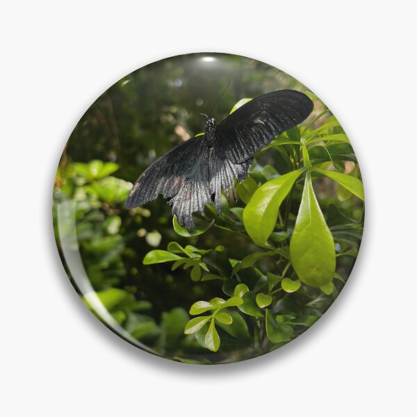 Item preview, Grey butterfly with vibrant green background designed and sold by am3liajm.