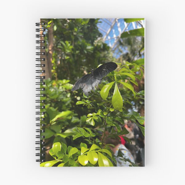 Item preview, Grey butterfly with vibrant green background designed and sold by am3liajm.